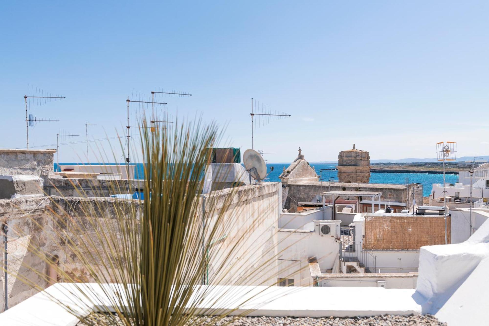 Fico! By Monholiday * Monopoli