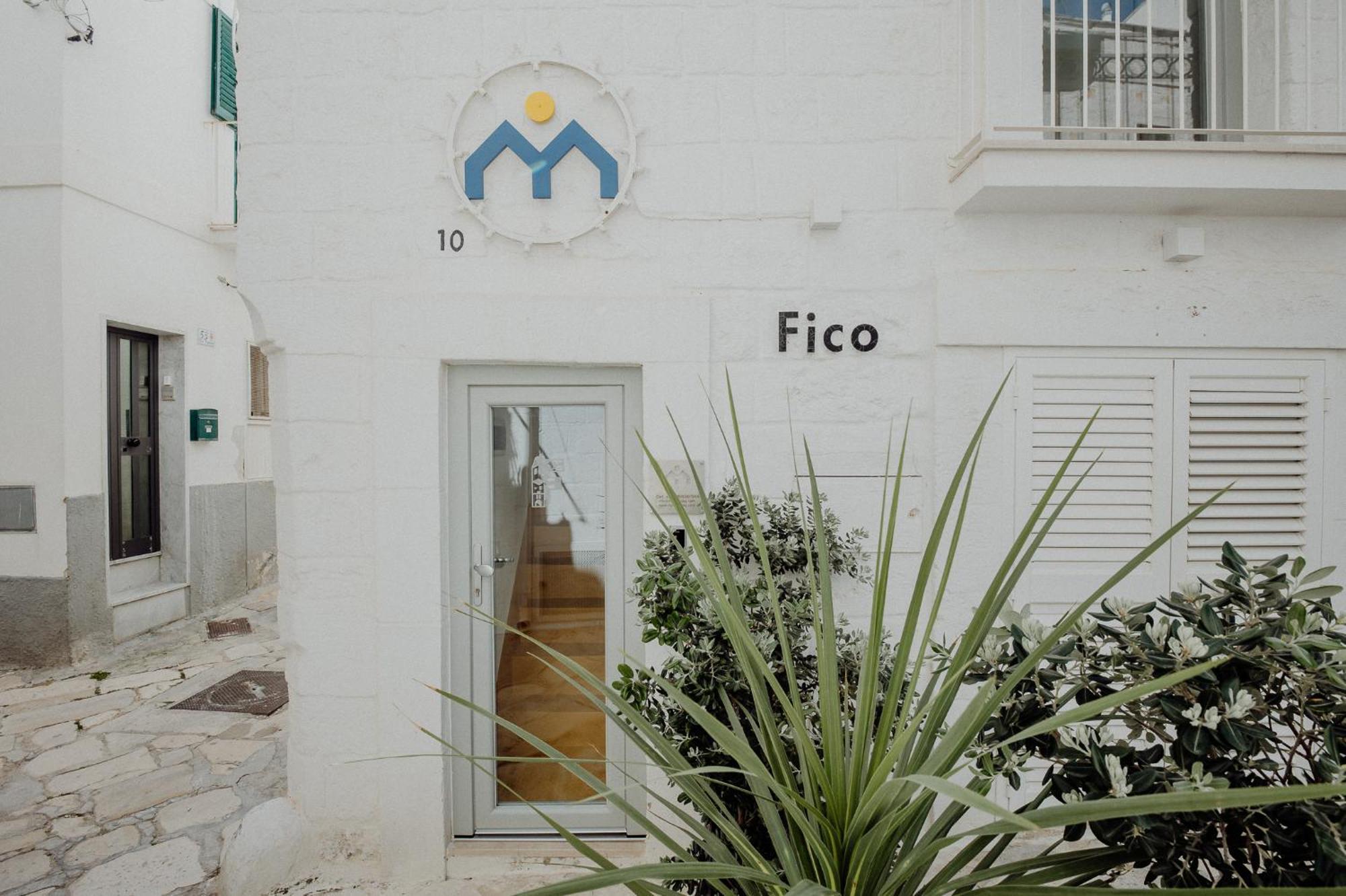 Fico! By Monholiday *